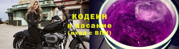 шишки Белокуриха