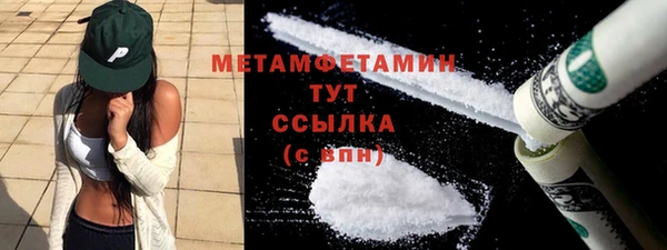 шишки Белокуриха