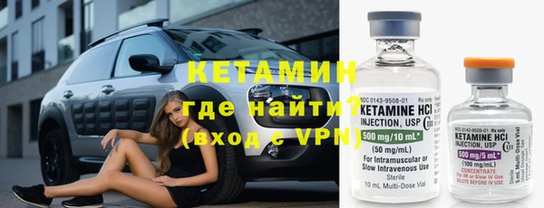 шишки Белокуриха