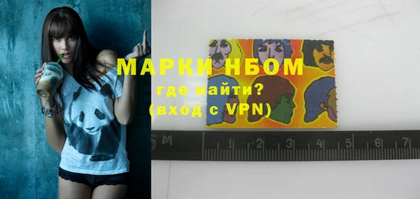 шишки Белокуриха