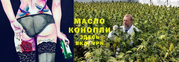 шишки Белокуриха