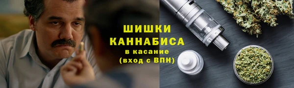 шишки Белокуриха