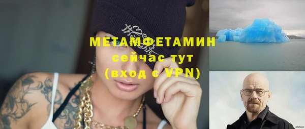 шишки Белокуриха