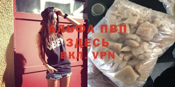 шишки Белокуриха