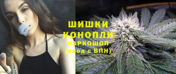 шишки Белокуриха
