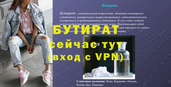 шишки Белокуриха