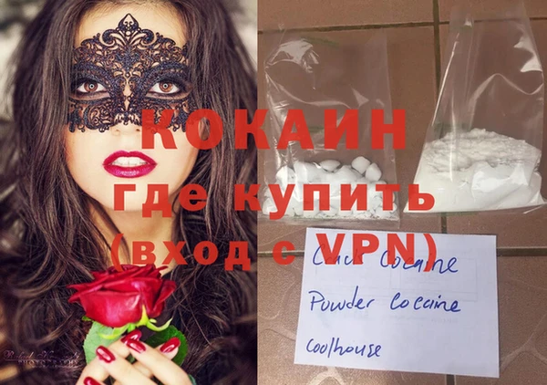 шишки Белокуриха