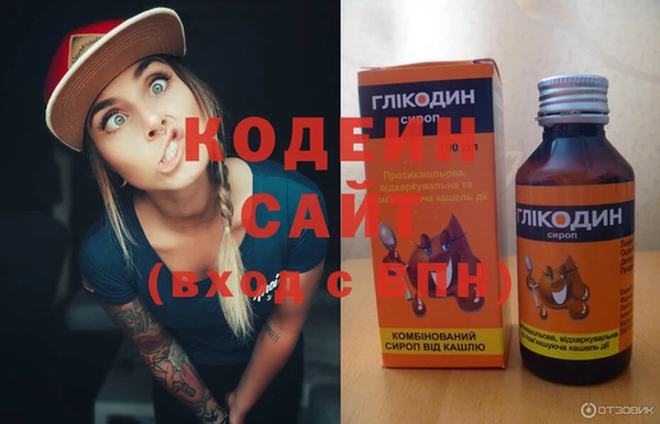 шишки Белокуриха