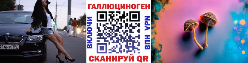 Галлюциногенные грибы Psilocybine cubensis Костерёво